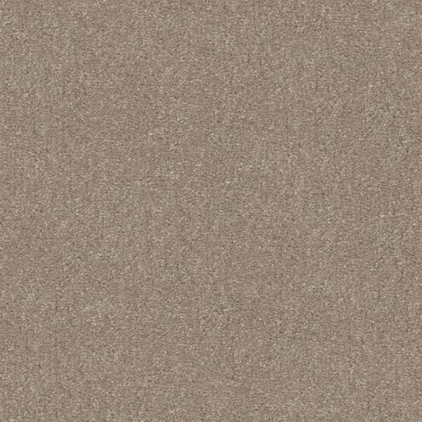 Shaw Floors Easy Spirit I 12 Natural Contour SHAW
