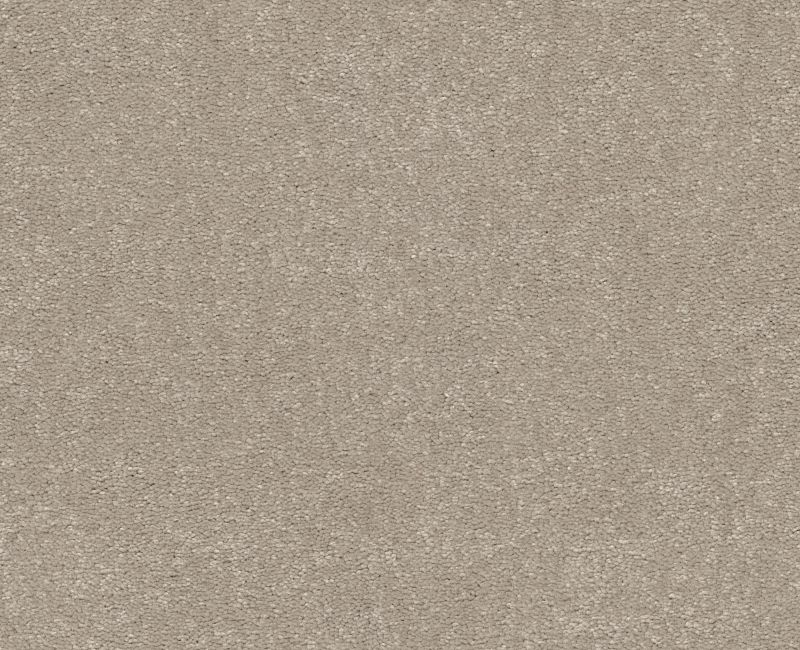 Shaw Floors Easy Spirit I 12 Greige SHAW