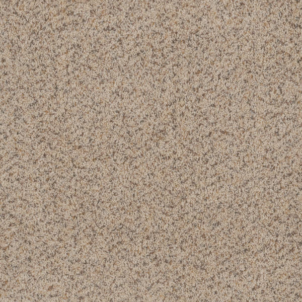 Dreamweaver Carpet Toast Of The Town Winter Blanket DREAMWEAVER