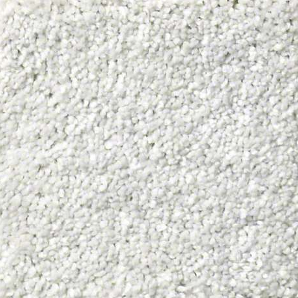 Shaw Floors Basic Rules Mist SHAW