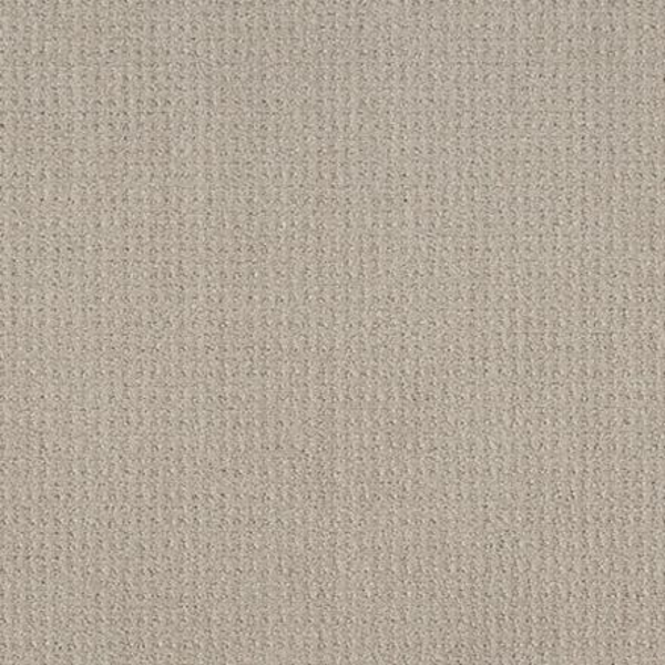 Shaw Floors Translate Oatmeal SHAW