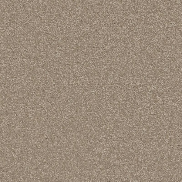 Shaw Floors Awaken Spirit I 12' Fresco SHAW