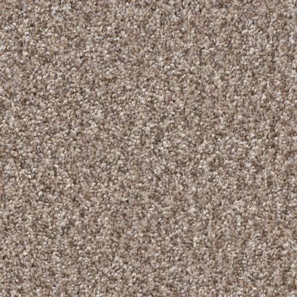Shaw Floors Yes You Can II 12' Glacier SHAW