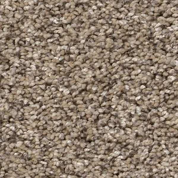 Shaw Floors Yes You Can I 12' Chic Greige SHAW