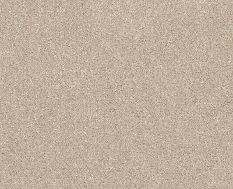 Shaw Floors Easy Spirit II 12 Cream SHAW