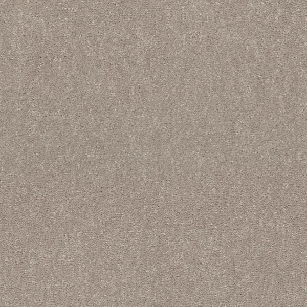 Shaw Floors Easy Spirit I 12 Biscotti SHAW