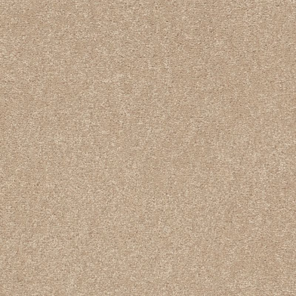 Shaw Floors Easy Spirit II 12 Captiva SHAW