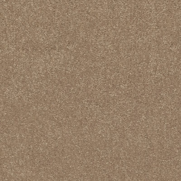Shaw Floors Easy Spirit I 12 Stone House SHAW