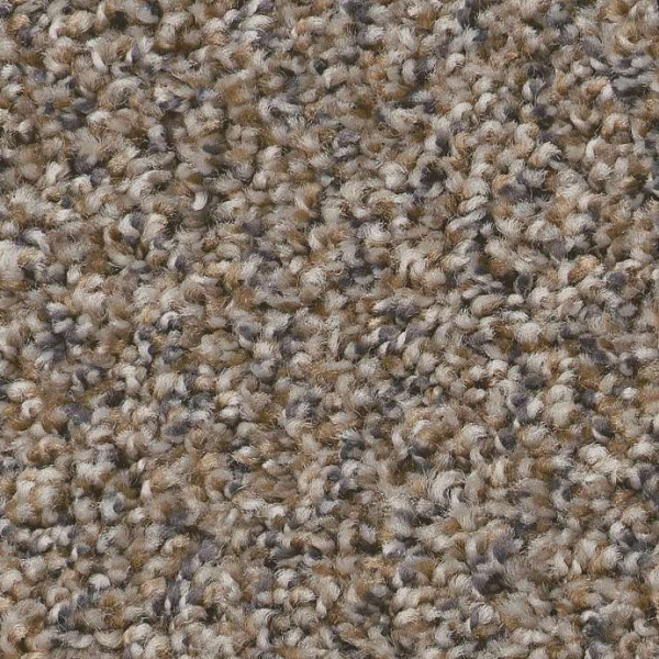 Shaw Floors Always Right II Goose Feather SHAW