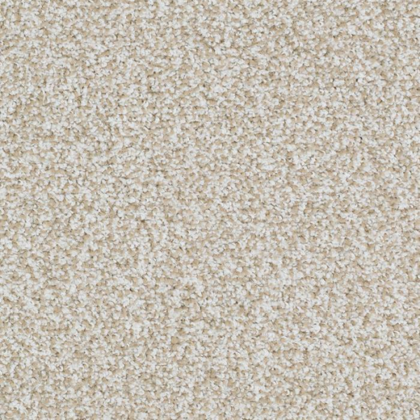 Masland Carpets Sunset Key Insistent Masland