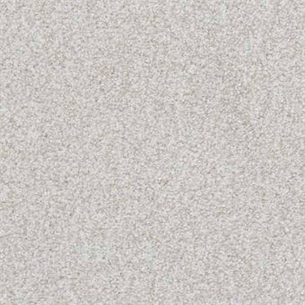Masland Carpets Boca Raton Lasting Taupe Masland