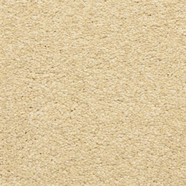 Masland Carpets Staccato Sonata Masland