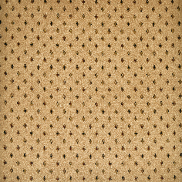 Kane Carpet Nostalgia New Beginnings KANE