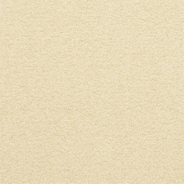 Masland Carpets Patriot Simplify Masland