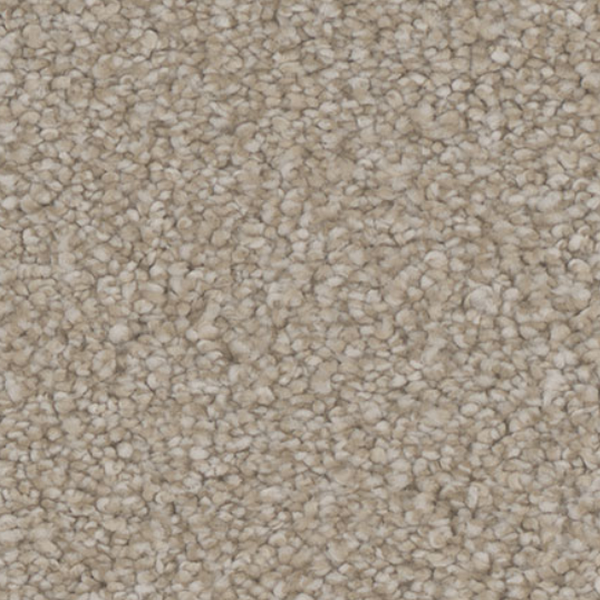 Tarkett Home Carpets Enamour Gratify LEXMARK
