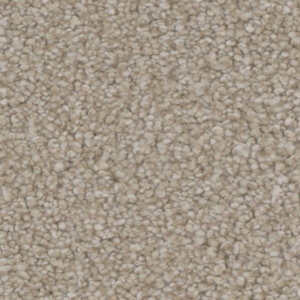 Tarkett Home Carpets Mesmerize Gratify LEXMARK