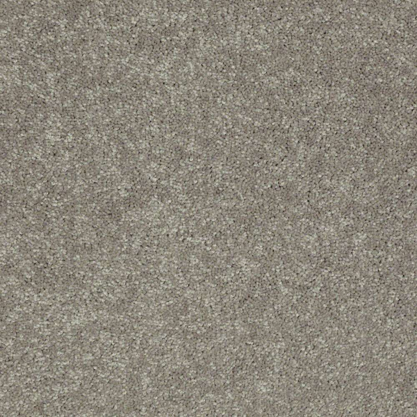 Shaw Floors Newbern Classic 12 Pebble Path SHAW