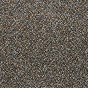 Tarkett Home Carpets Downy Felicity LEXMARK