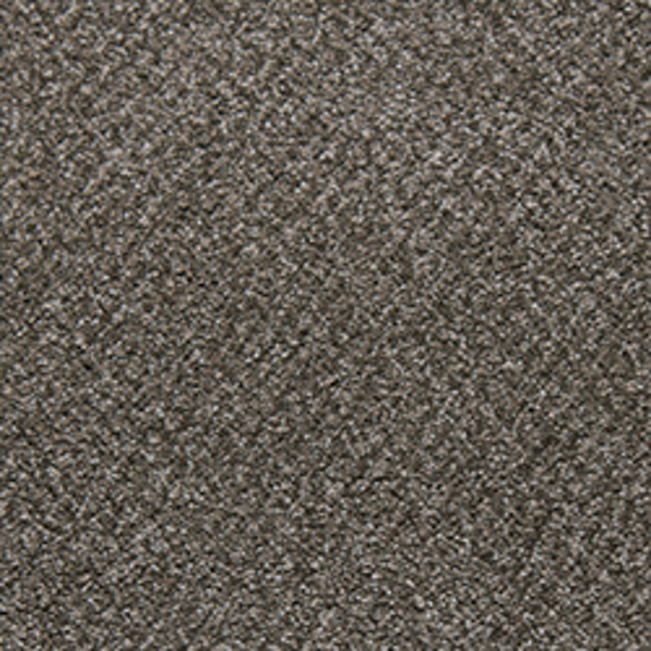Tarkett Home Carpets Soft Spoken Felicity LEXMARK