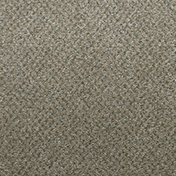 Tarkett Home Carpets Soft Spoken Jasper LEXMARK