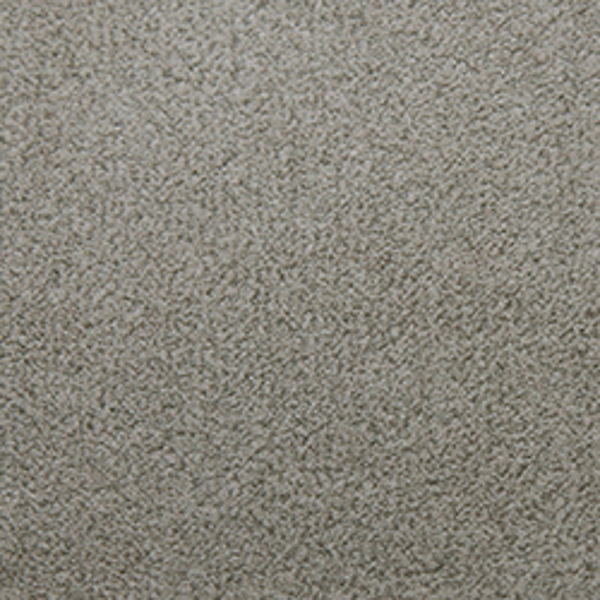 Tarkett Home Carpets Soft Spoken Assurance LEXMARK