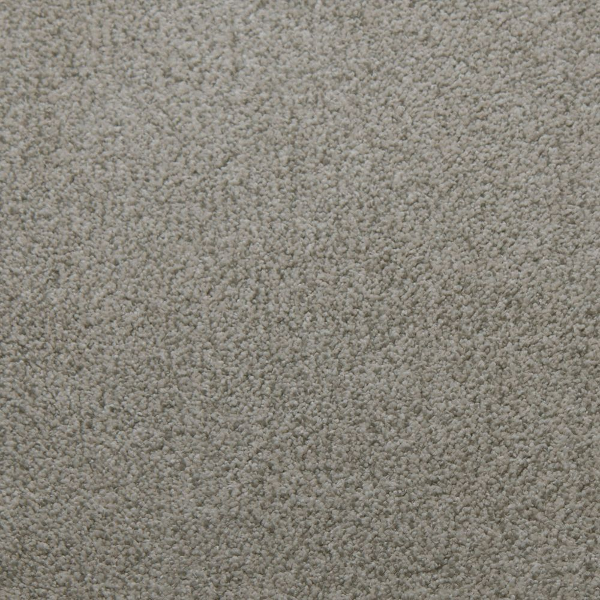 Tarkett Home Carpets Whisper Assurance LEXMARK