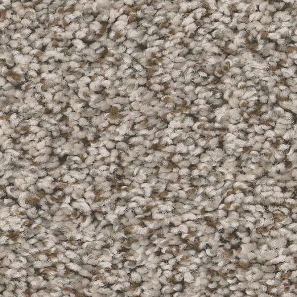 Shaw Floors Feelin' Alright Stepping Stone SHAW