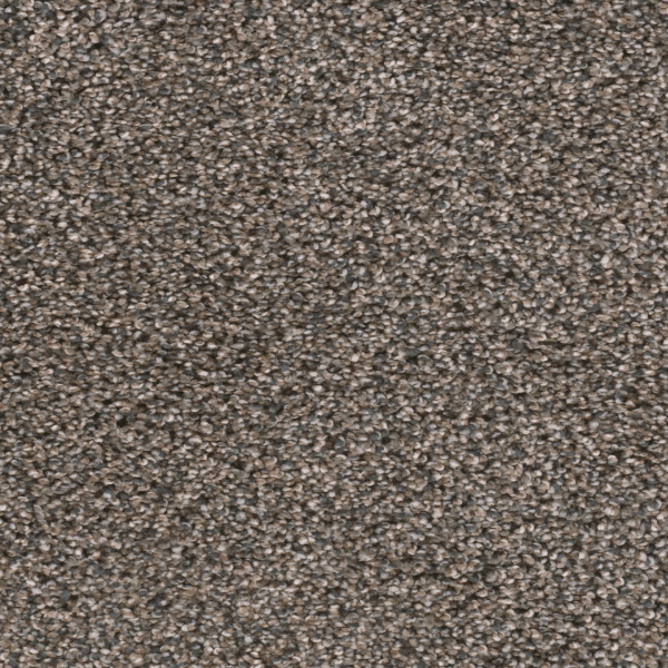 Dreamweaver Carpet Reflections III Imperial Sable DREAMWEAVER
