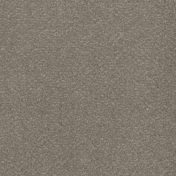 Tarkett Home Carpets Serenade Dove LEXMARK