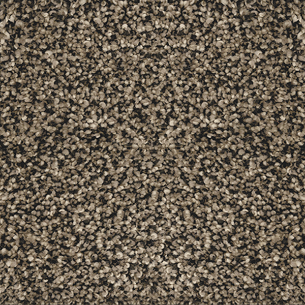 Revolution Mills Venice Bark