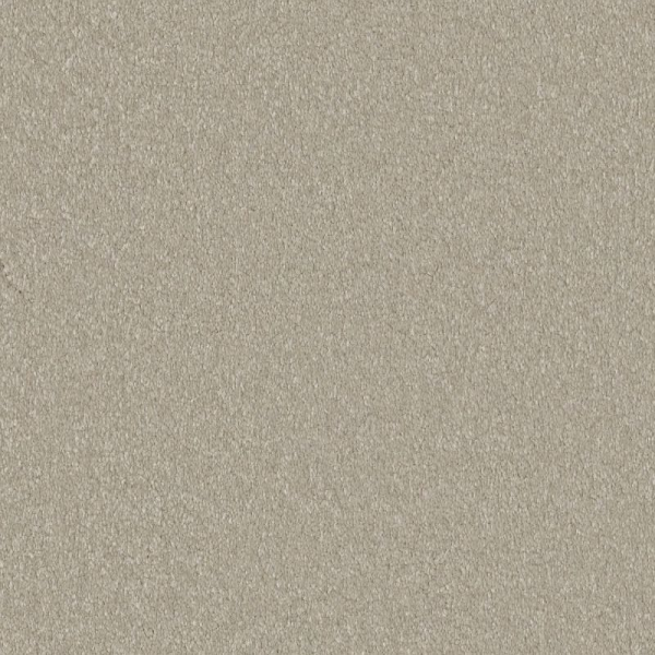 Shaw Floors Awaken Spirit II 12' Whiskers SHAW