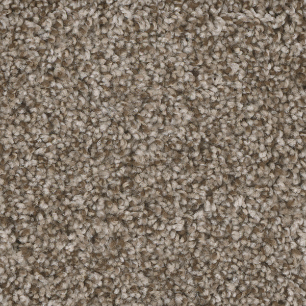 Dreamweaver Carpet Jackson Hole I Walnut Ridge DREAMWEAVER