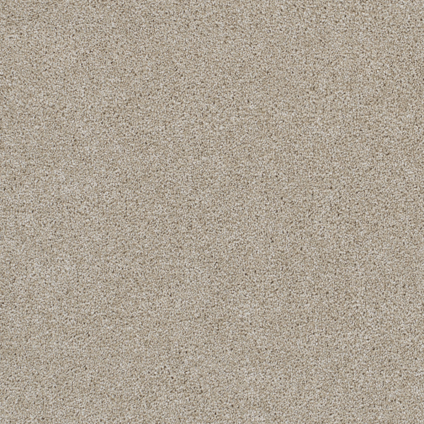 Dreamweaver Carpet Malibu III Cottonwood DREAMWEAVER