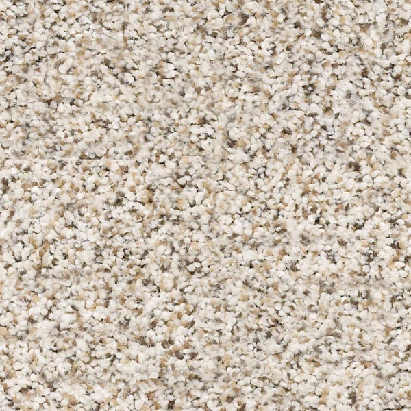 Shaw Floors Abilene II Pixels SHAW