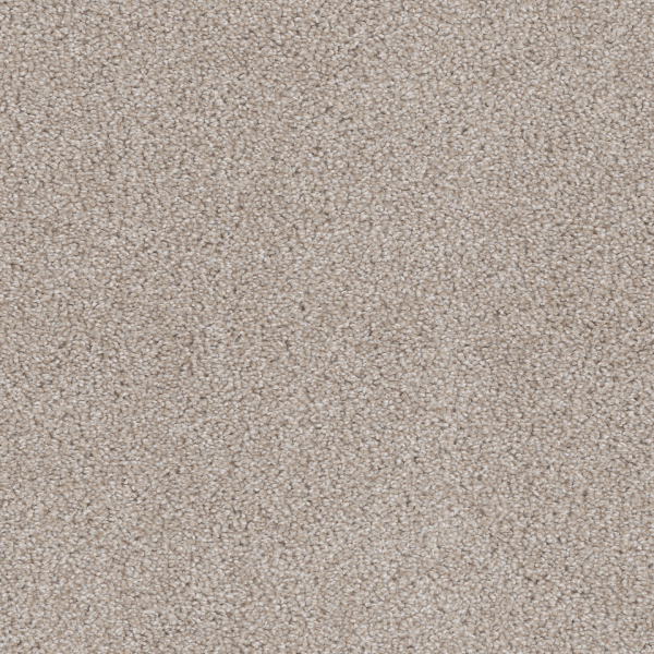 Dreamweaver Carpet Cedar Creek Cameo DREAMWEAVER