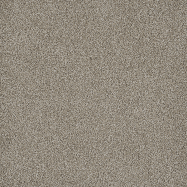 Dreamweaver Carpet Hammond Creek II Cameo DREAMWEAVER