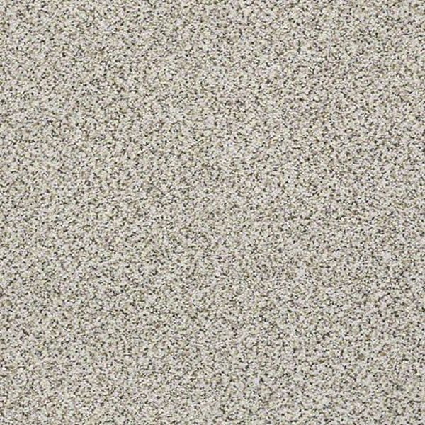 Shaw Floors Elemental Mix I Snowbound SHAW