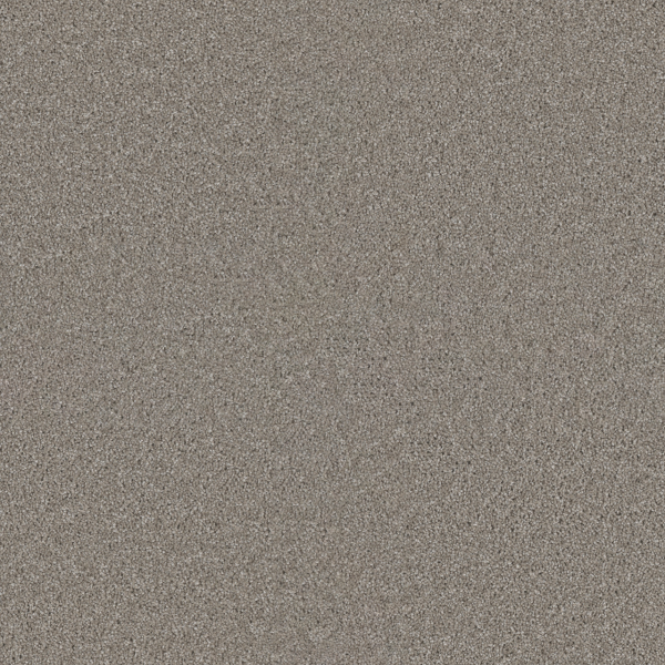 Dreamweaver Carpet Exceptional II Clam Shell DREAMWEAVER