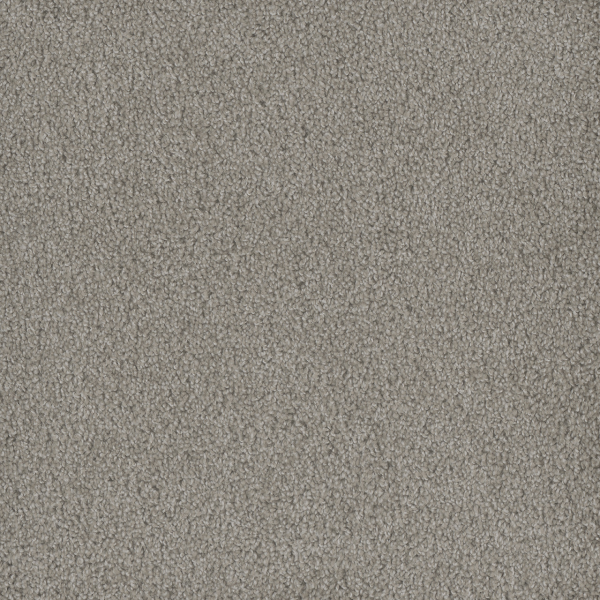 Dreamweaver Carpet Hammond Creek I Clam Shell DREAMWEAVER