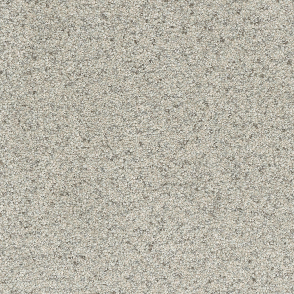 Dreamweaver Carpet Astounding I Celadon DREAMWEAVER