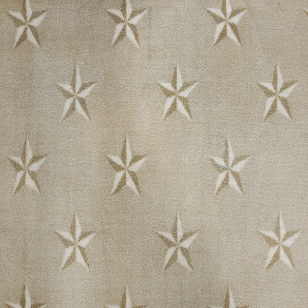 Stanton Carpet Starstruck Sand Stanton