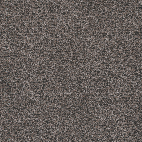Tarkett Home Carpets Candler Park Prairie LEXMARK