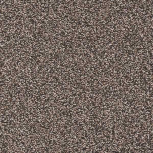 Tarkett Home Carpets Candler Park Cape Cod LEXMARK