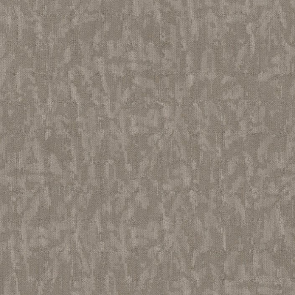 Philadelphia Commercial Modern Heirloom Chiffon Shaw