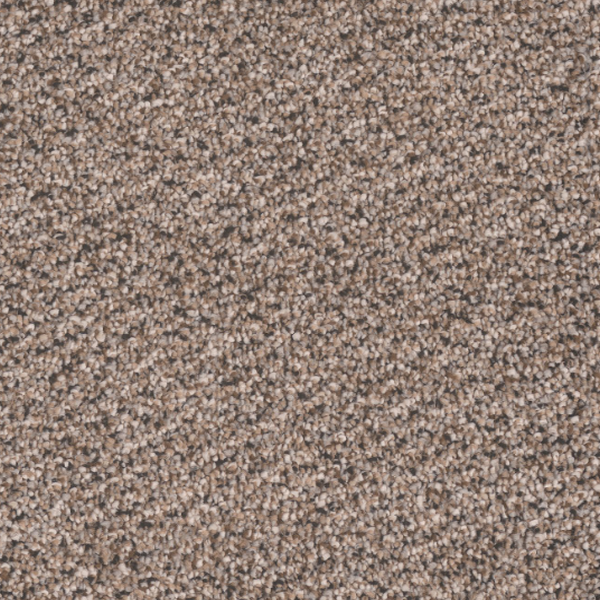 Tarkett Home Carpets Candler Park Salt Box LEXMARK