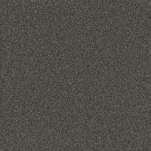 Dreamweaver Carpet No Limits II Magnetic DREAMWEAVER
