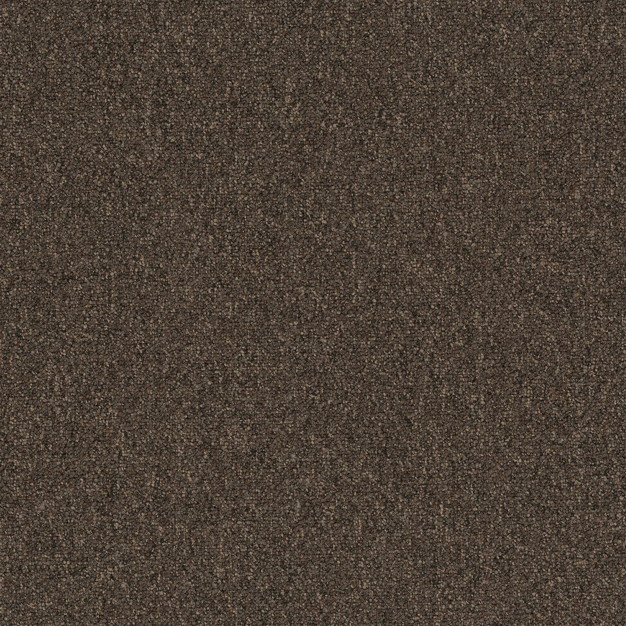 Pentz Commercial Diversified 26 Bizarre ENGINEERED FLOORS