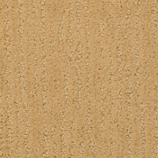 Masland Carpets Nature's Essence Antelope Masland