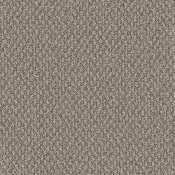 Dreamweaver Carpet Galactic Pebble Hill DREAMWEAVER