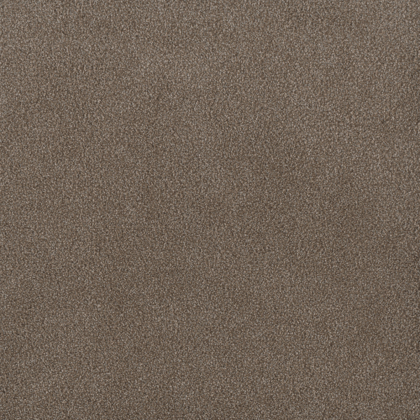 Dreamweaver Carpet Palmetto I Eagle Crest DREAMWEAVER